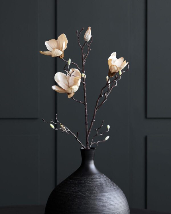 Magnolia kvist off white