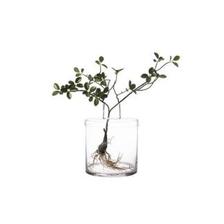 Ernst - Glasvas Liten