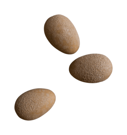 Deco Egg - sand
