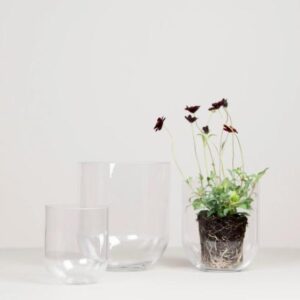 Simple glass vase Medium