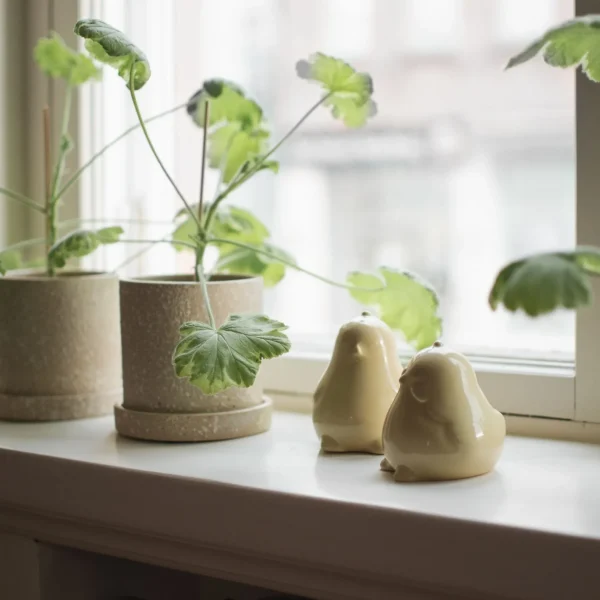 dbkd_ss26_chubby_chicken-14-2-1920w